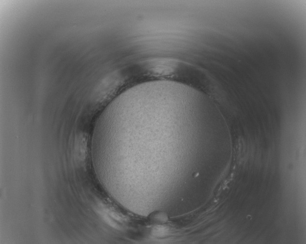 X0000077360412200610271859