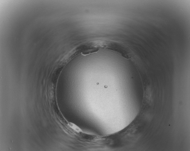 X0000077360413200610271859