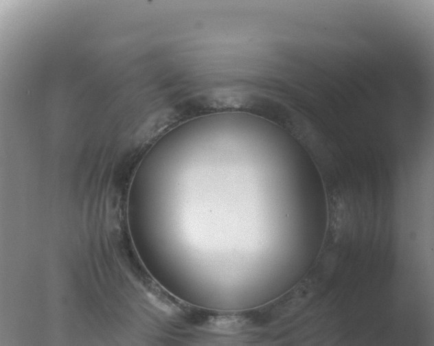 X0000077360414200610271859