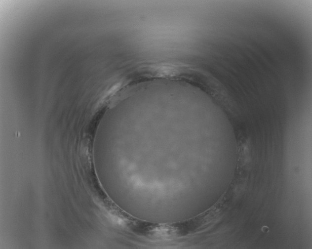 X0000077360415200610271859