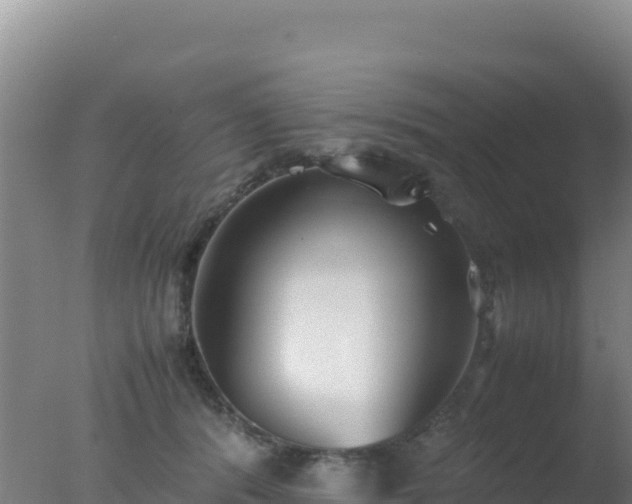 X0000077360416200610271859