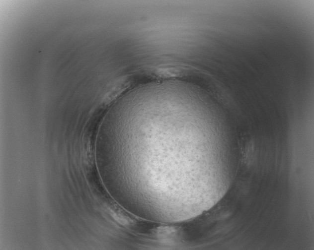 X0000077360418200610271859