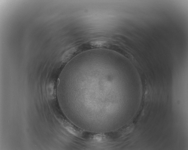 X0000077360420200610271859