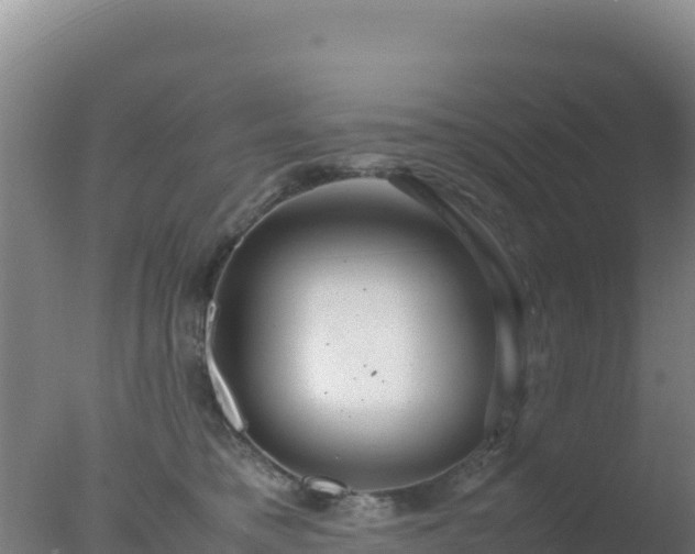 X0000077360421200610271859