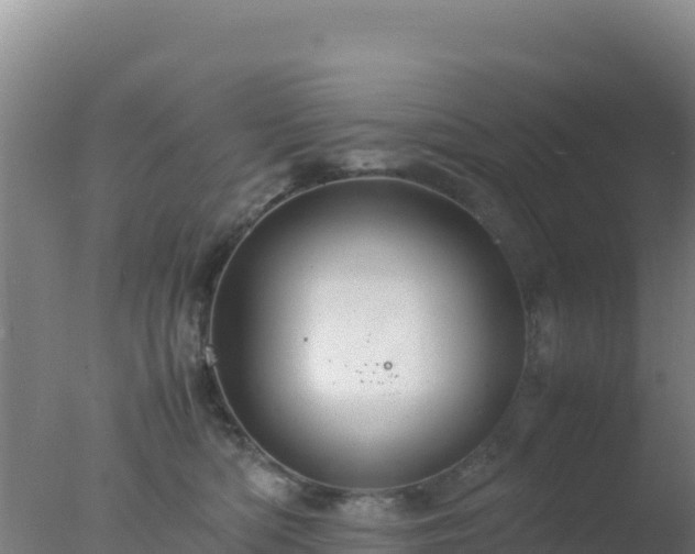 X0000077360422200610271859