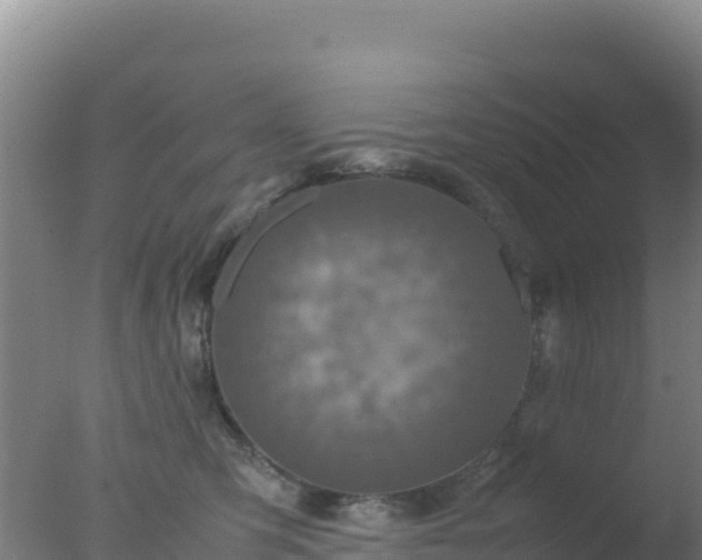 X0000077360423200610271859