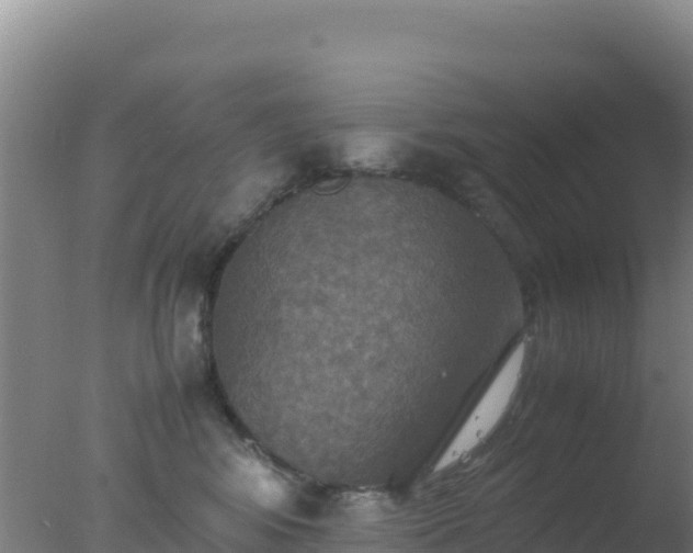 X0000077360424200610271859