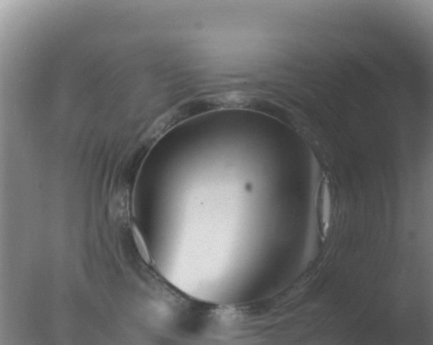 X0000077360425200610271859