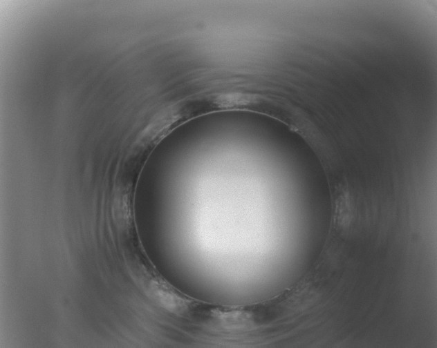 X0000077360426200610271859