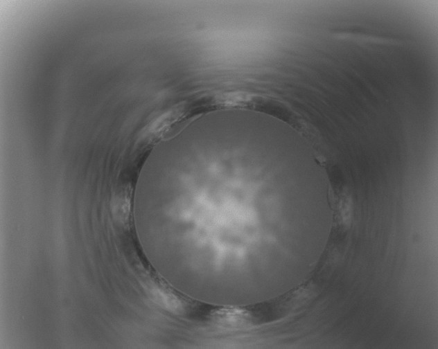 X0000077360427200610271859