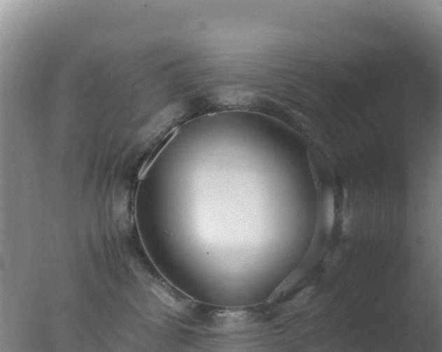 X0000077360428200610271859