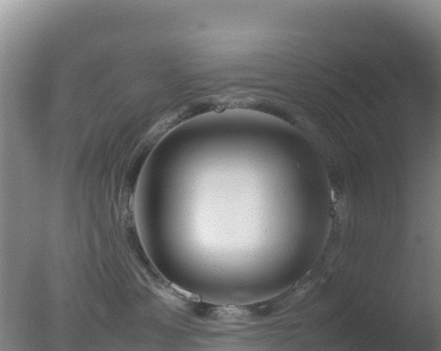 X0000077360429200610271859