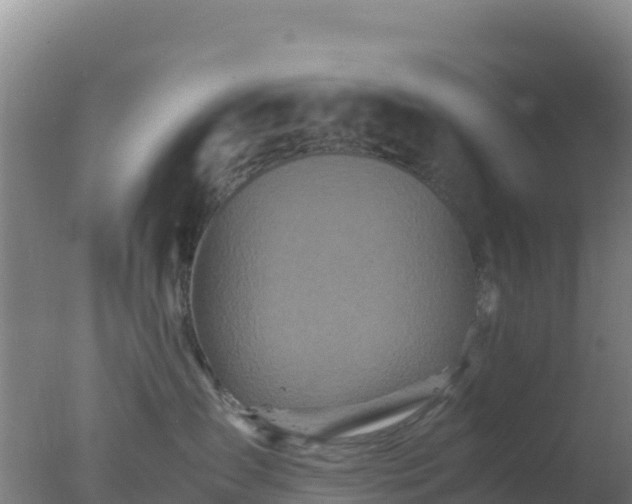 X0000077360431200610271859