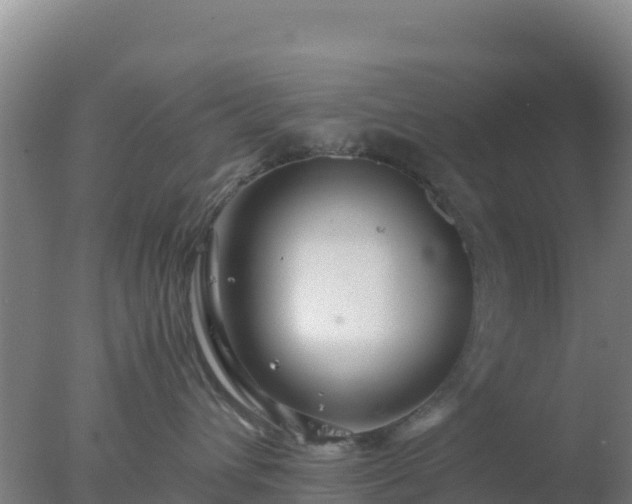 X0000077360432200610271859