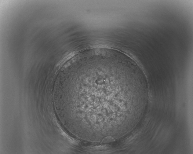 X0000077360433200610271858