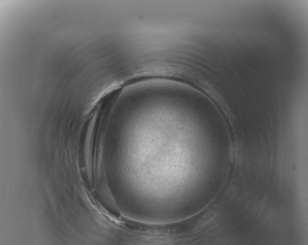 X0000077360434200610271858