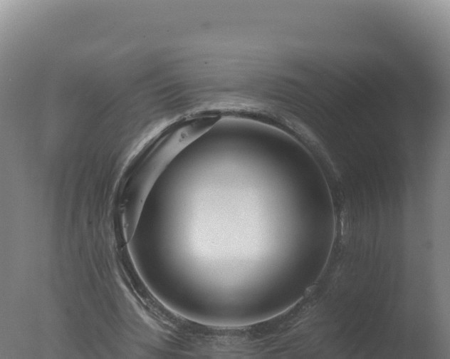 X0000077360436200610271858