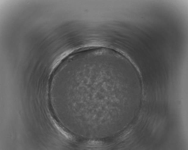 X0000077360437200610271858