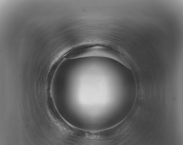 X0000077360440200610271858