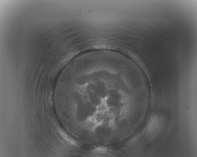 X0000077360441200610271858