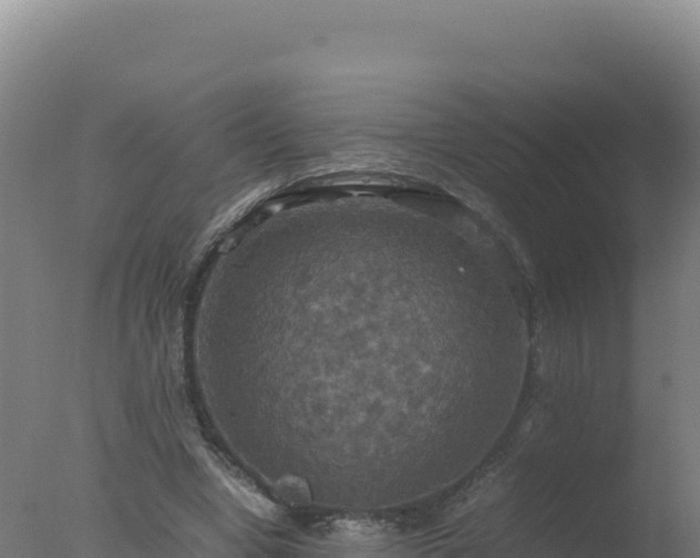 X0000077360442200610271858