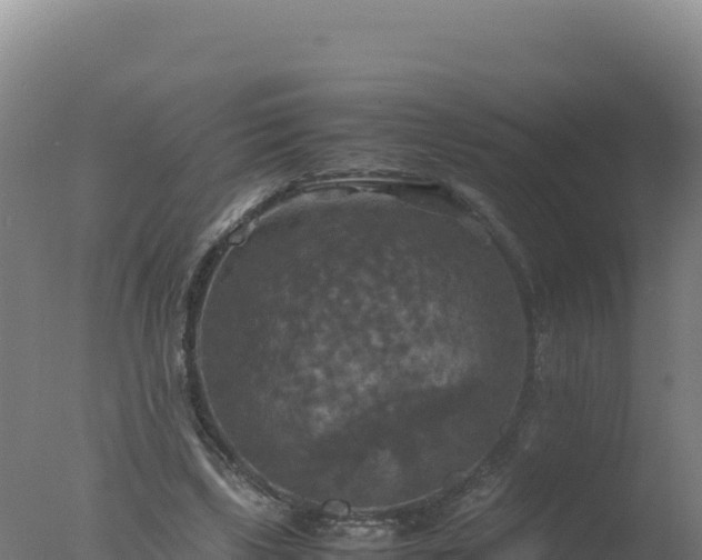 X0000077360443200610271858