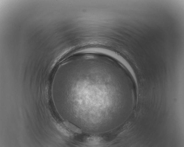 X0000077360444200610271858