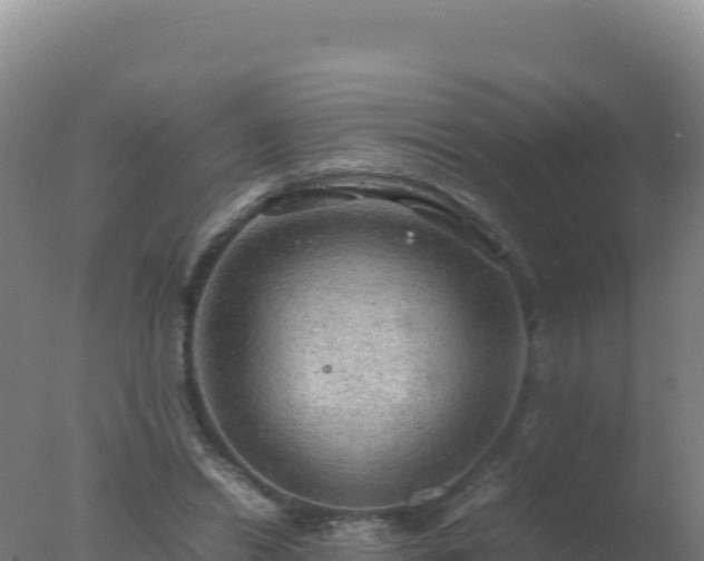 X0000077360446200610271858