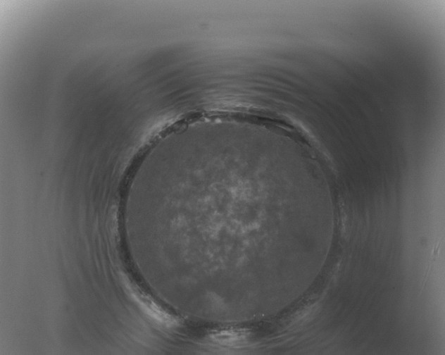 X0000077360447200610271858