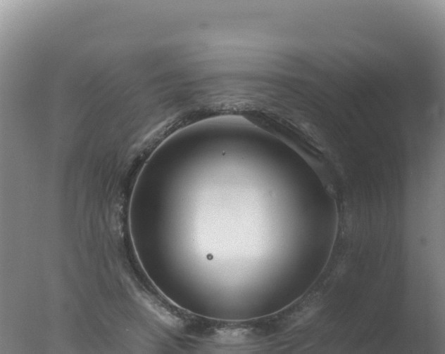 X0000077360450200610271858