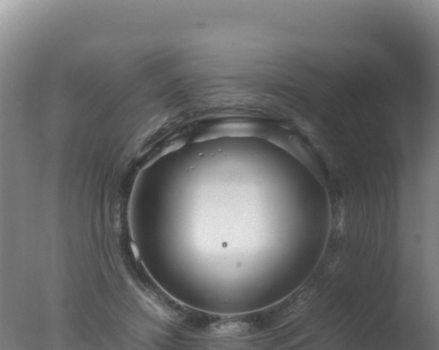 X0000077360452200610271858