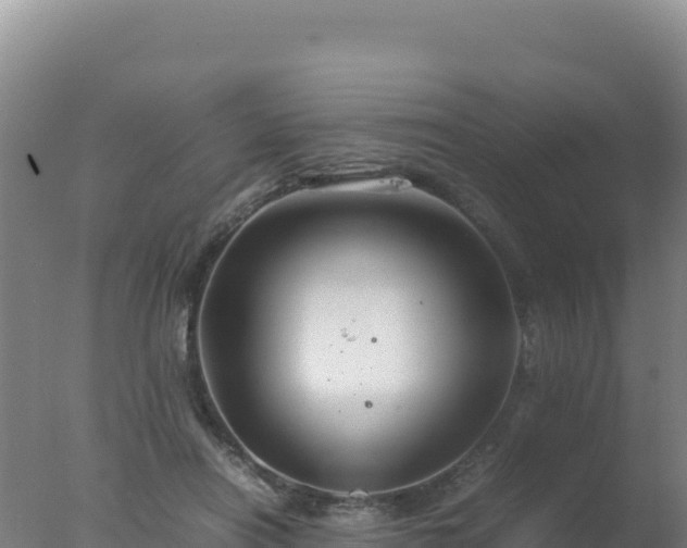 X0000077360454200610271858