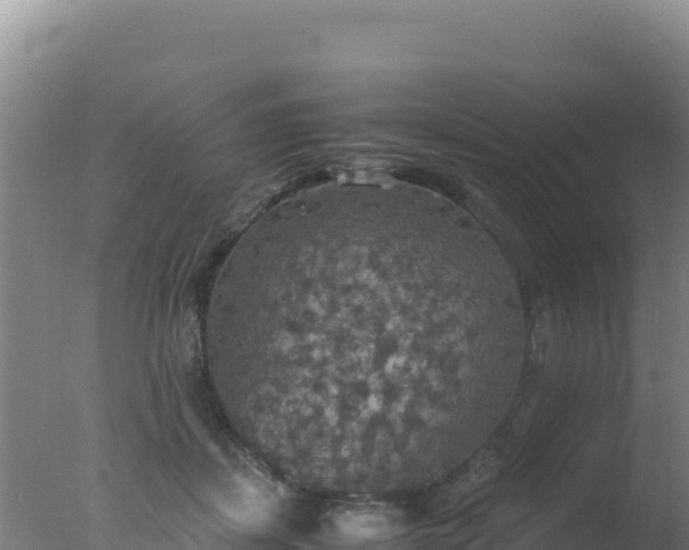 X0000077360459200610271858