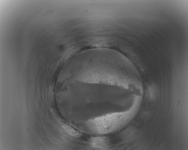 X0000077360461200610271858