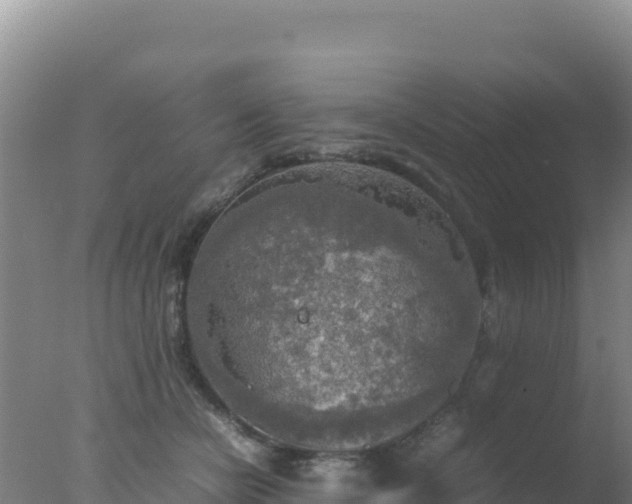 X0000077360462200610271858