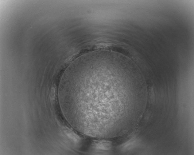 X0000077360463200610271858