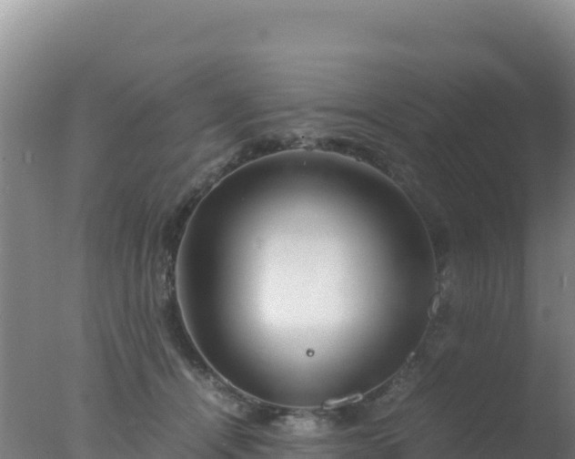 X0000077360464200610271858