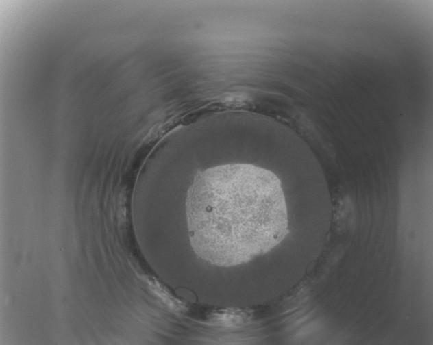 X0000077360466200610271859