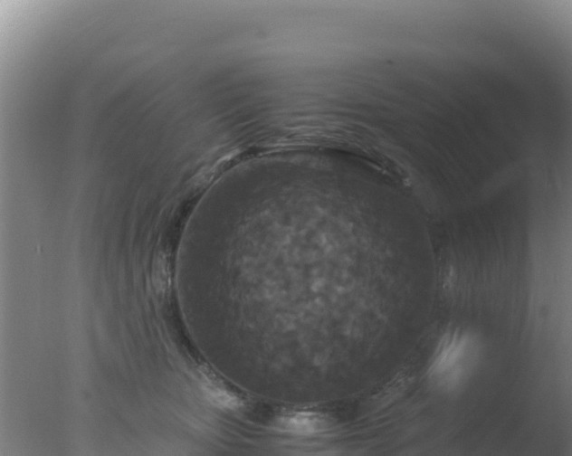 X0000077360467200610271859