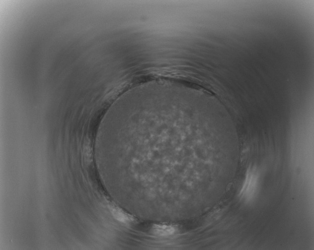 X0000077360469200610271859