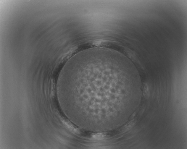 X0000077360470200610271859