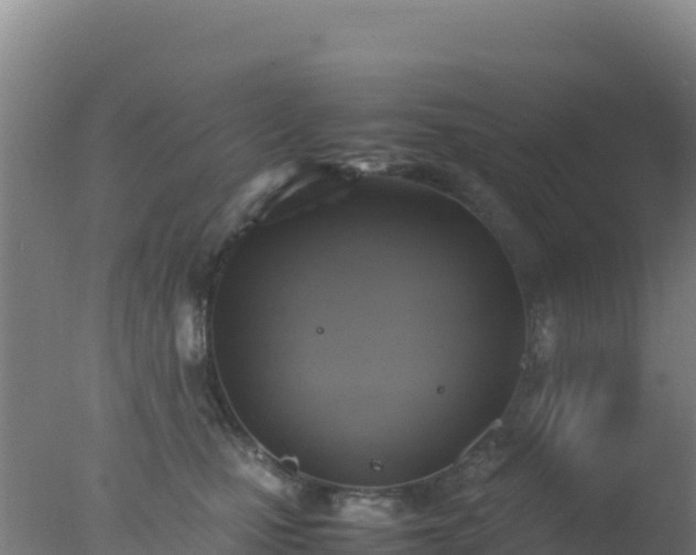 X0000077360471200610271859