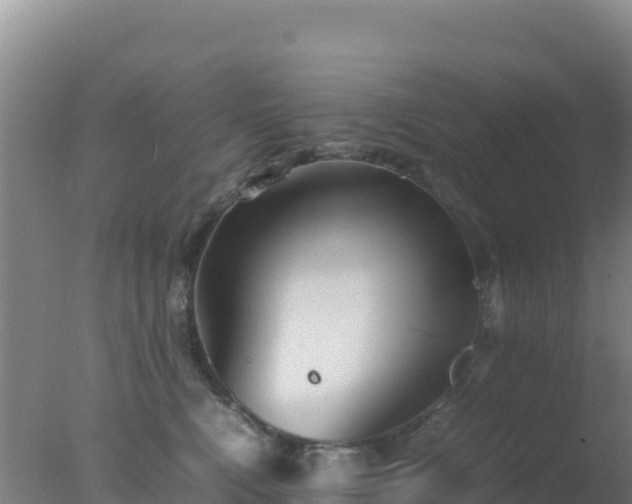 X0000077360472200610271859