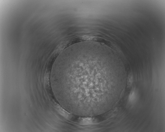 X0000077360473200610271859