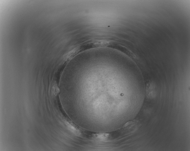 X0000077360474200610271859