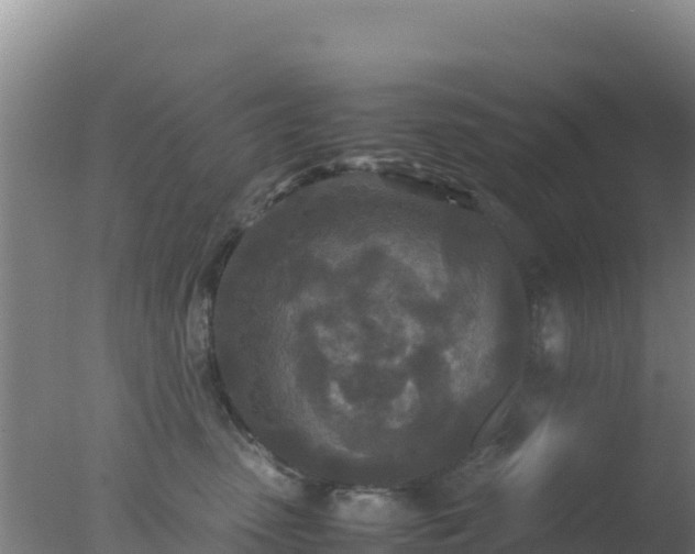 X0000077360475200610271859