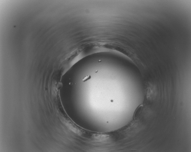 X0000077360476200610271859