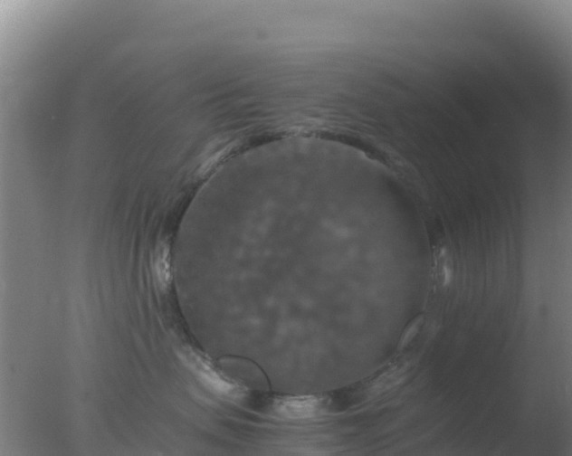 X0000077360479200610271859