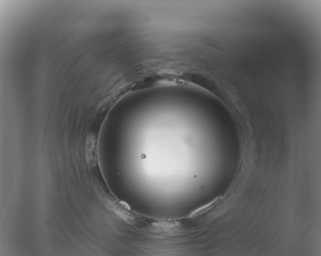 X0000077360480200610271859