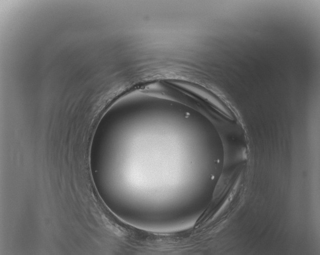 X0000077360481200610271858